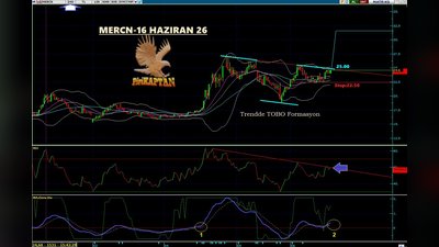 Trendde TOBO Formasyonu Fiyat ve RS