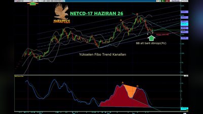 Yükselen Fibo Trend Kanalları içinde fiyatlanan NU(A-B) sonrasında trend düzeltmesi