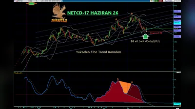 Yükselen Fibo Trend Kanalları içinde fiyatlanan NU(A-B) sonrasında trend düzeltmesi