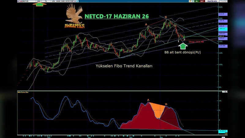 Yükselen Fibo Trend Kanalları içinde fiyatlanan NU(A-B) sonrasında trend düzeltmesi