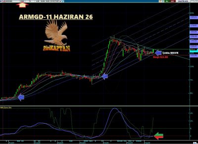 ARMGD  11 Haziran'dan bugüne %44 PRİM
