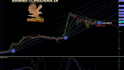 ARMGD 11 Haziran'dan bugüne %44 PRİM
