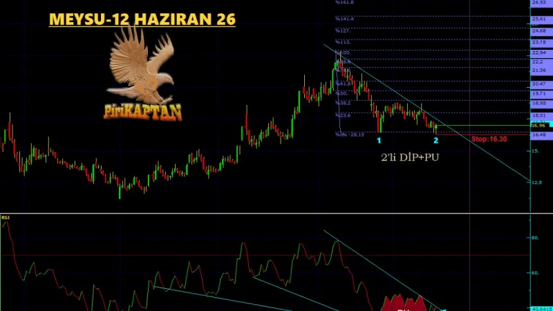 MEYSU Teknik Analiz - 12 Haziran 2026