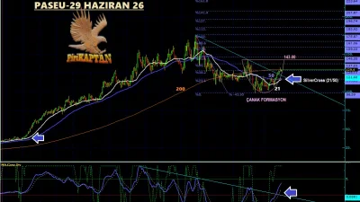 PASEU Teknik Analiz - 29 Haziran 2026