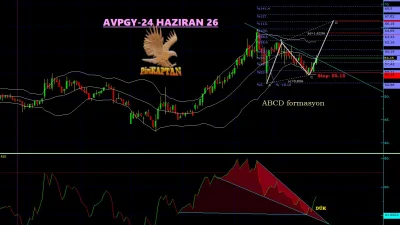 AVPGY Teknik Analiz - 24 Haziran 2026