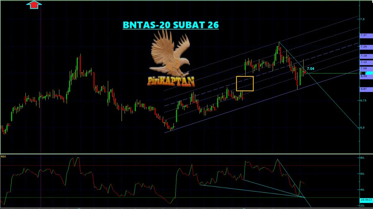 BNTAS Teknik Analiz - 20 Şubat 2026