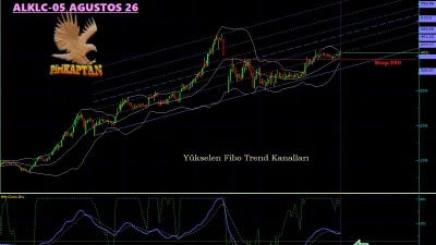 ALKLC -Altınkılıç Gıda ve Süt Sanayi Ticaret A.Ş.