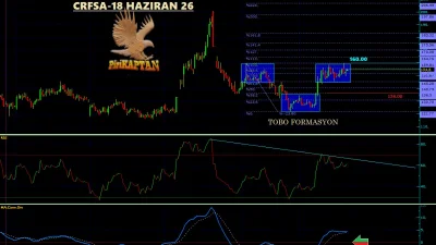 CRFSA CARREFOURSA CARREFOUR SABANCI TİCARET MERKEZİ A.Ş.