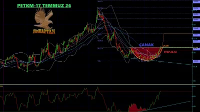 PETKİM PETROKİMYA HOLDİNG A.Ş. 17 Temmuz 2026