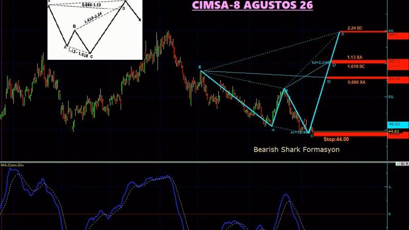 CIMSA  ÇİMENTO SANAYİ VE TİCARET A.Ş.-8 Ağustos 2026