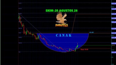 EKIM TURİZM TİCARET VE SANAYİ A.Ş.-20 Ağustos 2026