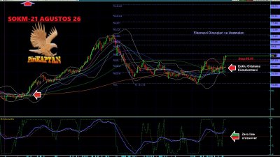 SOKM Fibonacci Dirençleri Aşılıyor, Momentum Yeniden Alevlendi