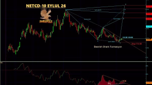 NETCD’de Bearish Shark Formasyonu Tamamlanıyor mu?