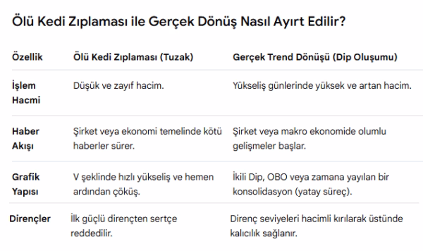 Finansal Piyasalarda sert düşüşlerde görülen ÖLÜ KEDİ ZIPLAMASINA Dikkat! - Görsel 4